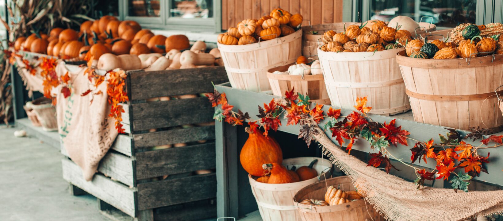 inshanti pure essential oils fall autumn pumpkins