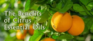 The Benefits of Citrus Essential Oils