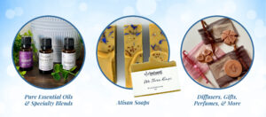 holiday wellness wonderland inshanti